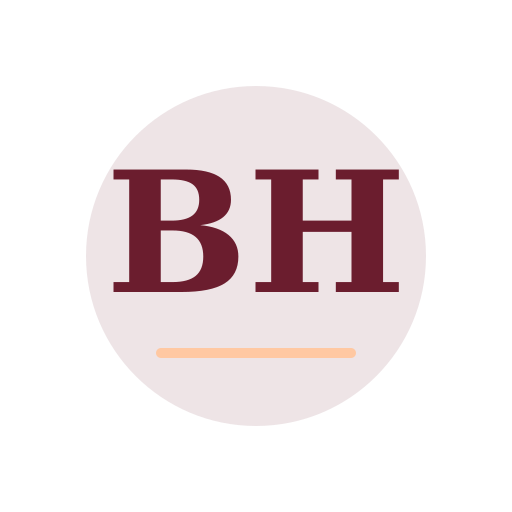 Bright Harbor Air Duct Services logo